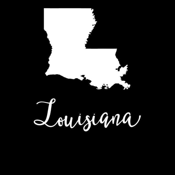 State of Louisiana Vinyl Decal - Custom Size - Up to 24 inches - Image 9