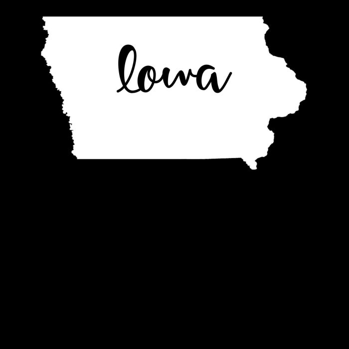 State of Iowa - Custom Size - Up to 24 inches - Image 8