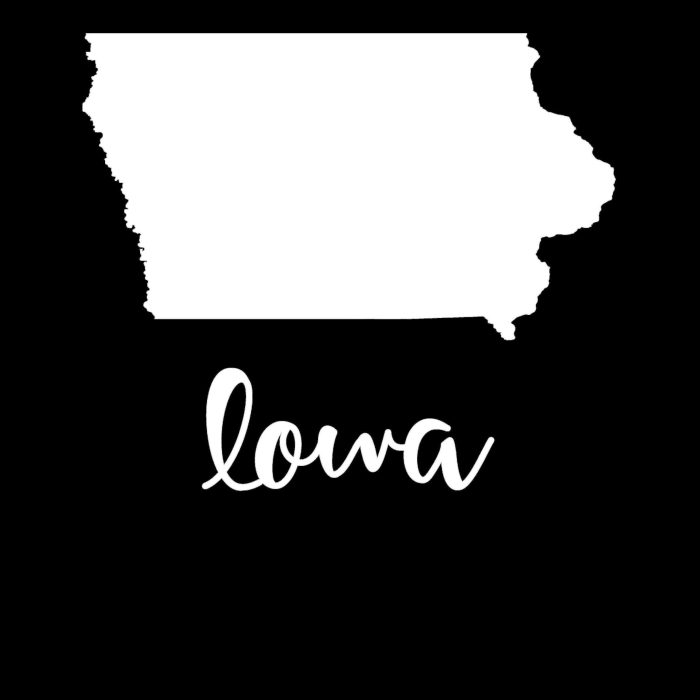 State of Iowa - Custom Size - Up to 24 inches - Image 9