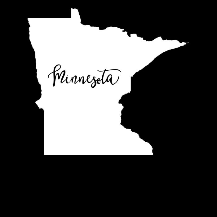 State of Minnesota Vinyl Decal - Custom Size - Up to 24 inches - Image 8