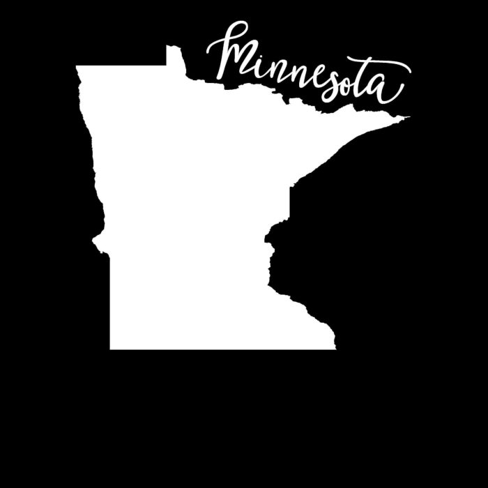 State of Minnesota Vinyl Decal - Custom Size - Up to 24 inches - Image 10