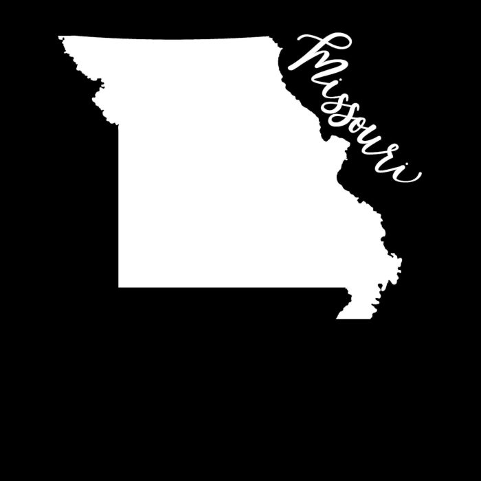 State of Missouri - Custom Size - Up to 24 inches - Image 9