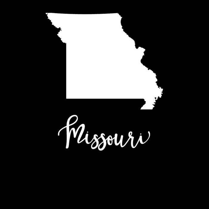 State of Missouri - Custom Size - Up to 24 inches - Image 10