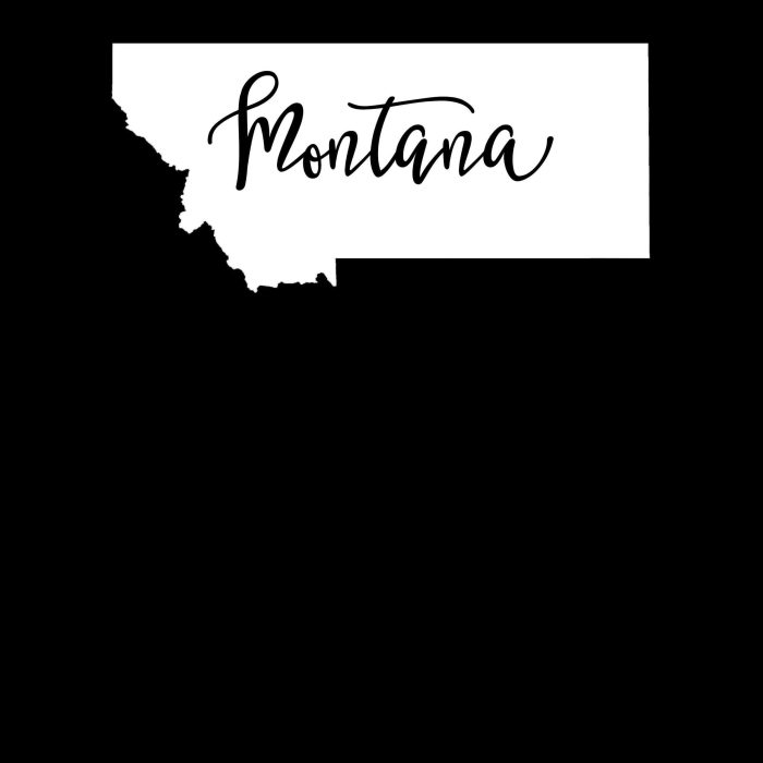 State of Montana - Custom Size - Up to 24 inches - Image 10