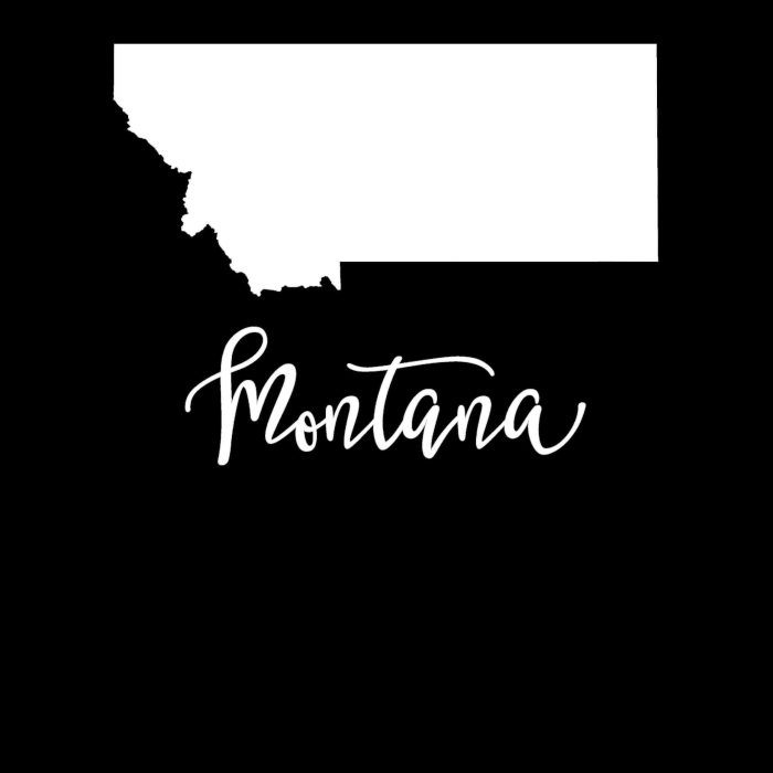 State of Montana - Custom Size - Up to 24 inches - Image 9