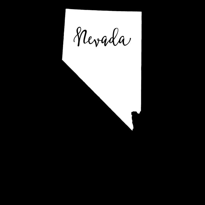 State of Nevada - Custom Size - Up to 24 inches - Image 10