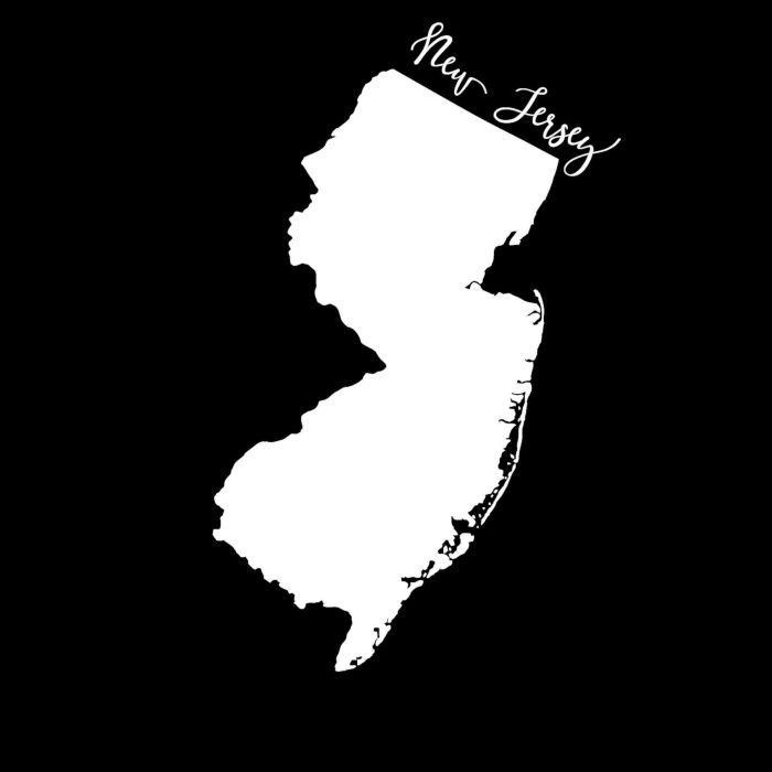 State of New Jersey - Custom Size - Up to 24 inches - Image 8