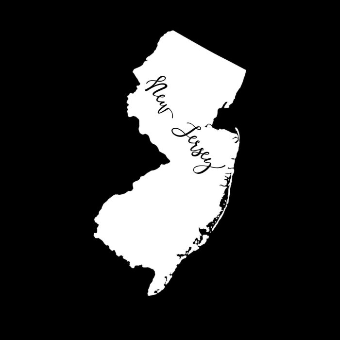 State of New Jersey - Custom Size - Up to 24 inches - Image 10