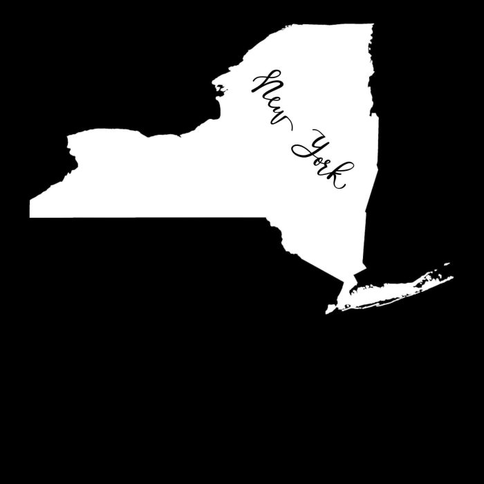 State of New York - Custom Size - Up to 24 inches - Image 10