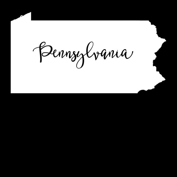 State of Pennsylvania - Custom Size - Up to 24 inches - Image 10