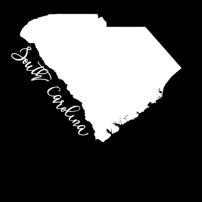 State of South Carolina - Custom Size - Up to 24 inches - Image 8