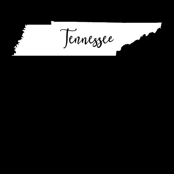 State of Tennesse - Custom Size - Up to 24 inches - Image 10