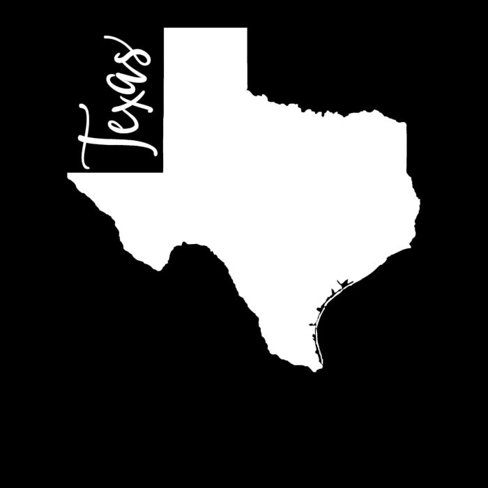 State of Texas - Custom Size - Up to 24 inches - Image 8