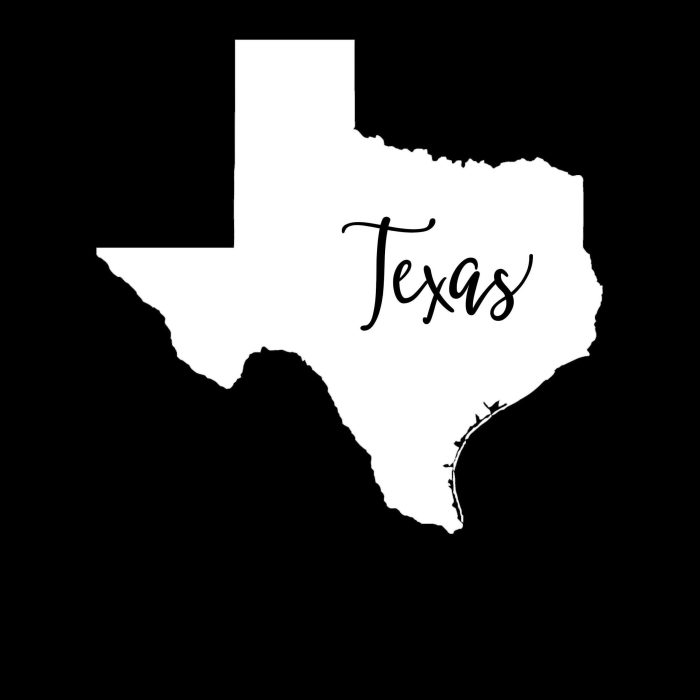 State of Texas - Custom Size - Up to 24 inches - Image 10