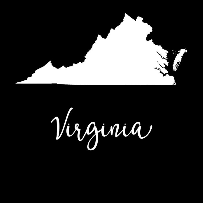 State of Virginia - Up to 24 inches - Image 9