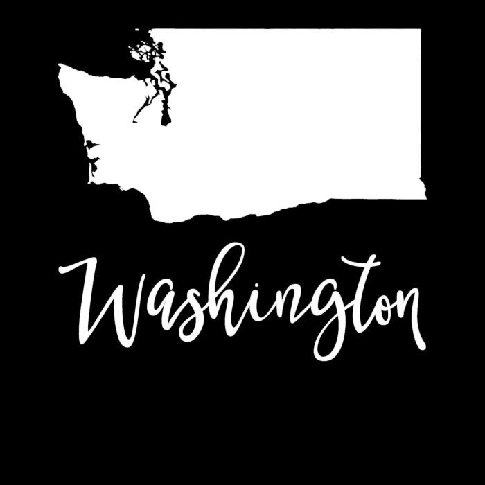 State of Washington - Custom Size - Up to 24 inches - Image 9