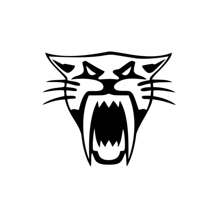 Artic Cat - Vinyl Decal - Up to 24 inches