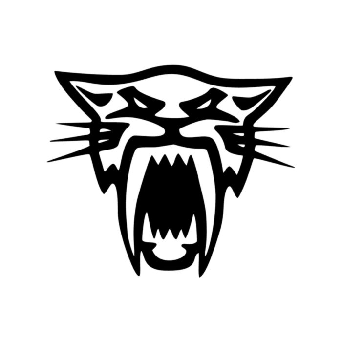 Artic Cat - Vinyl Decal - Up to 24 inches