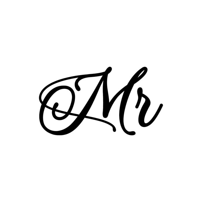 Mr Vinyl Decal - Custom Size - Up to 24 inches