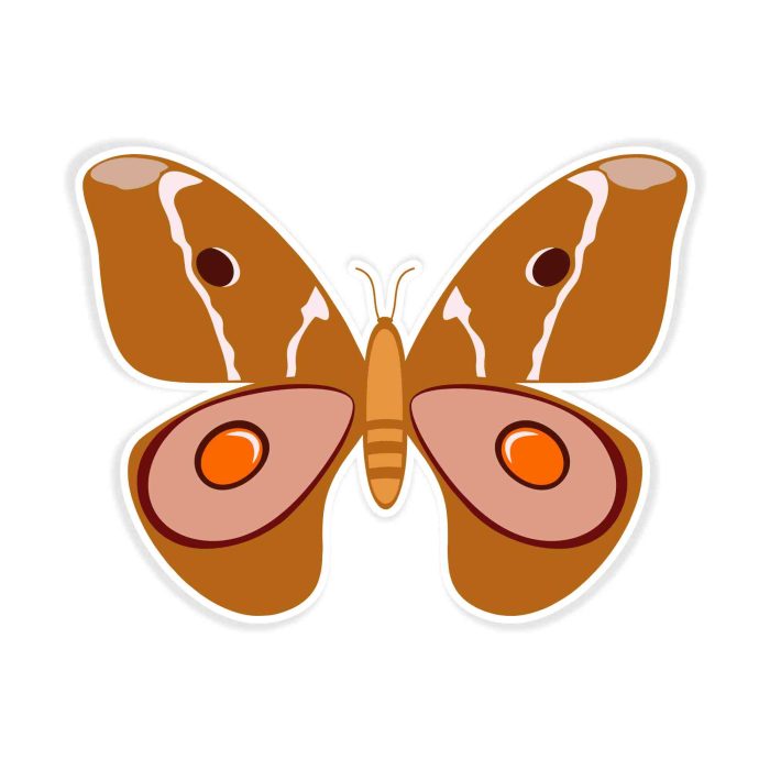 Butterfly - Full Color Vinyl Decal - Custom Size - Up to 52 inches