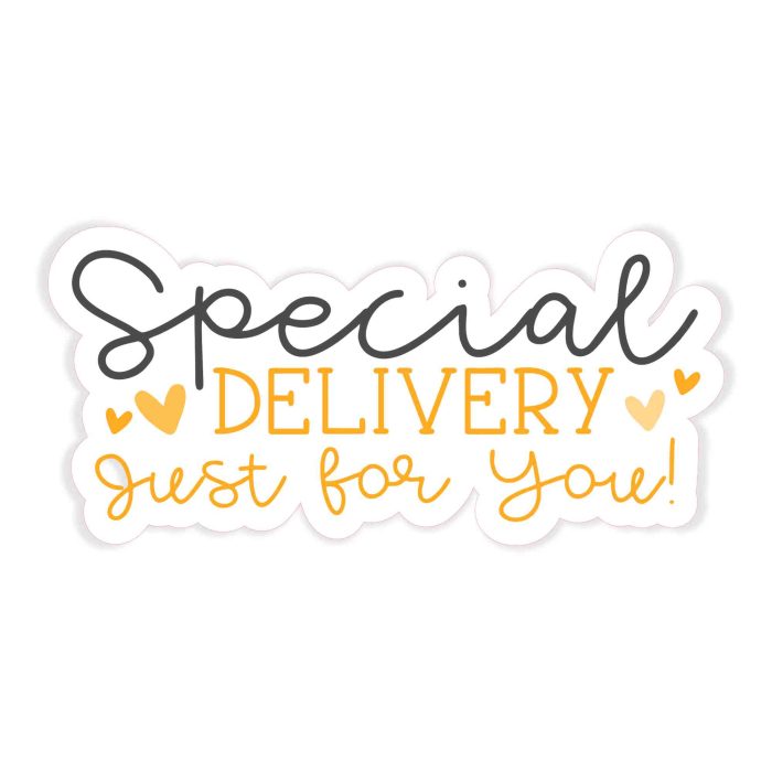 Small Business Special Delivery Full Color Vinyl Decal - Custom Size - Up to 52 inches