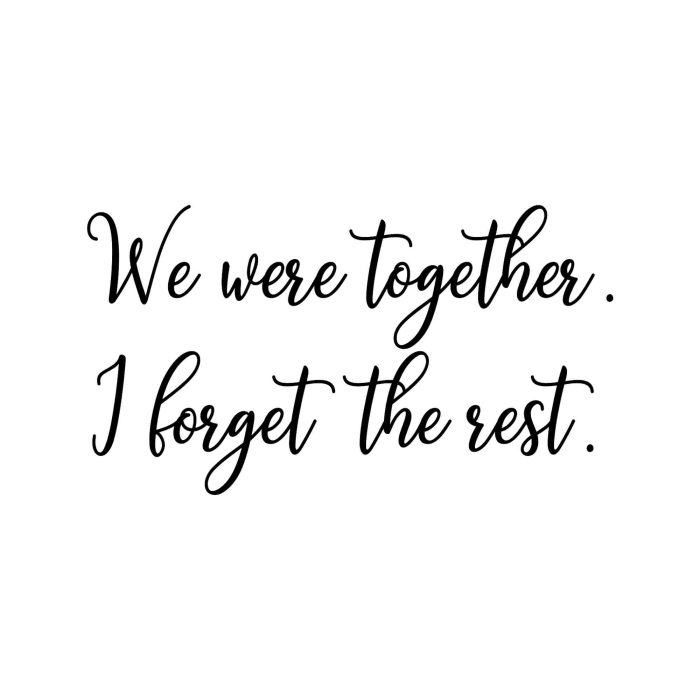 We Were Together. I Forget The Rest Vinyl Decal - Custom Size - Up to 24 inches