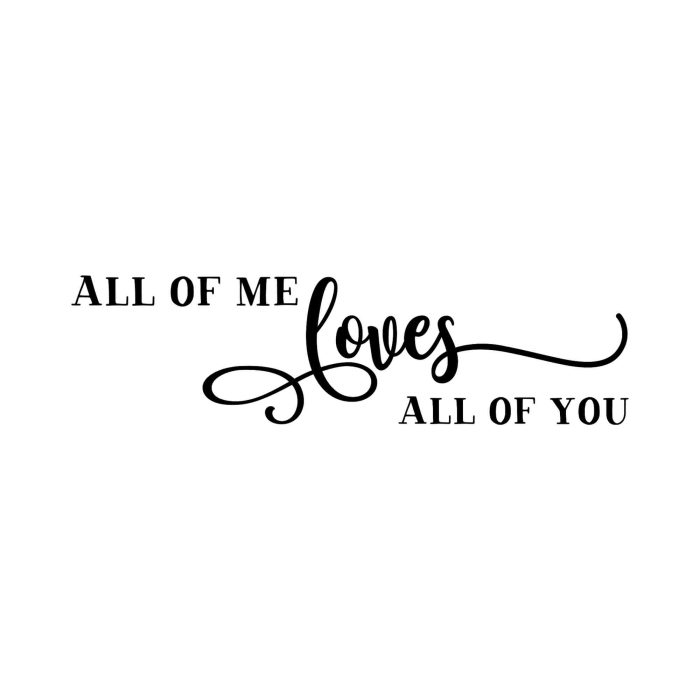 All Of Me Loves All Of You Vinyl Decal - Custom Size - Up to 24 inches