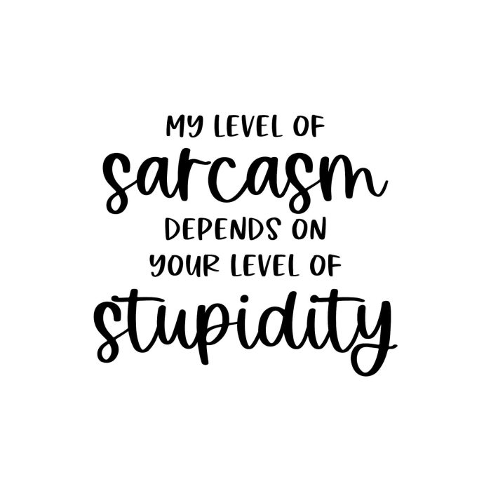 My Level Of Sarcasm Depends On Your Level Of Stupidity Vinyl Decal - Custom Size - Up to 24 inches